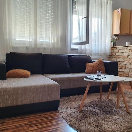 Apartment Laura & Lucija 奥西耶克 外观 照片