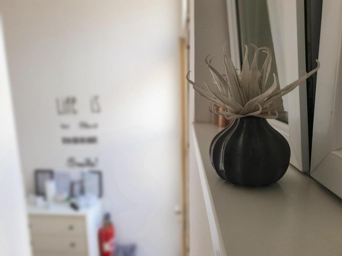 Apartment Laura & Lucija 奥西耶克 外观 照片