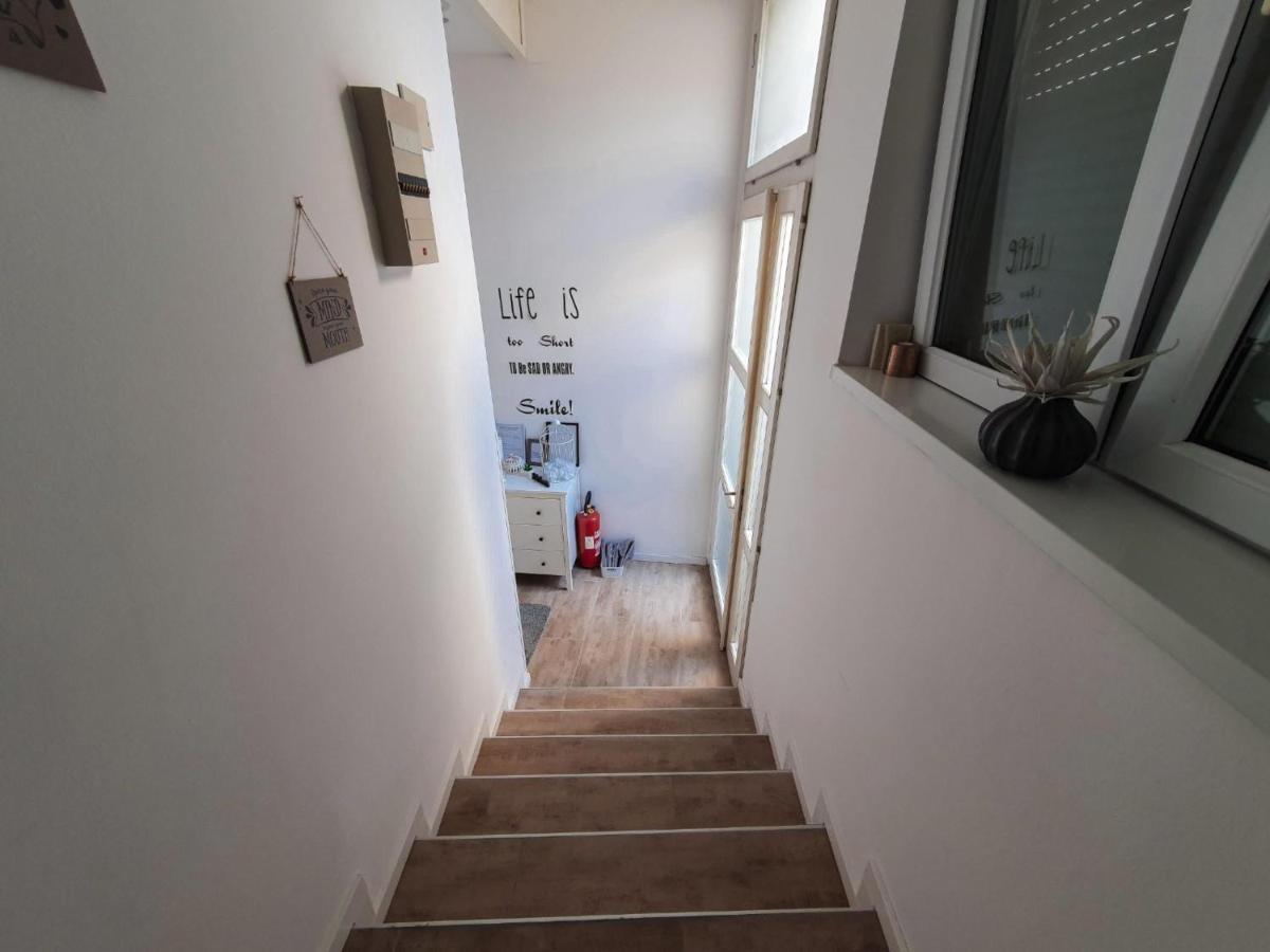 Apartment Laura & Lucija 奥西耶克 外观 照片